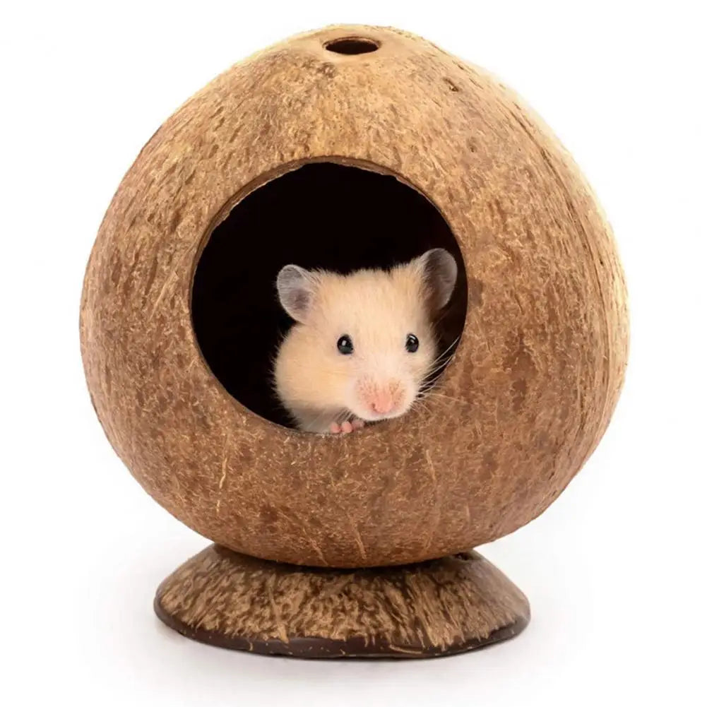 Hamster House Bite-resistant Natural Small Pet