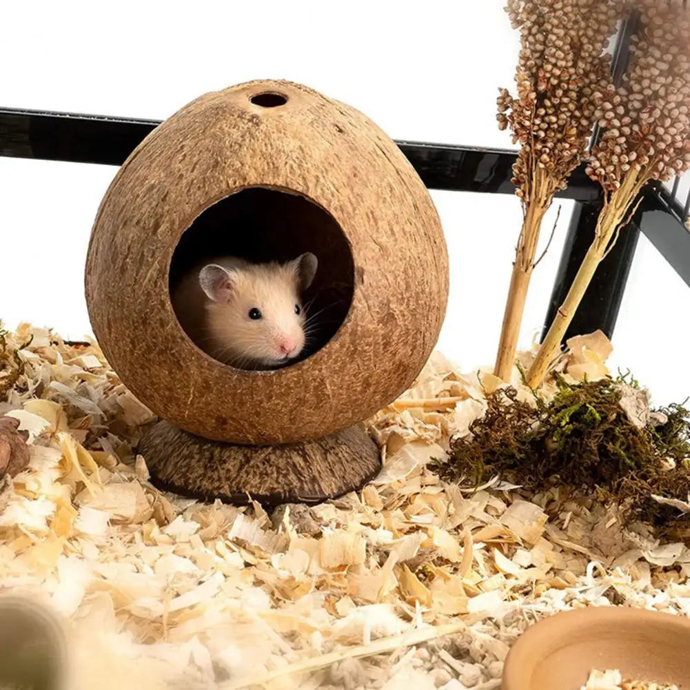 Hamster House Bite-resistant Natural Small Pet