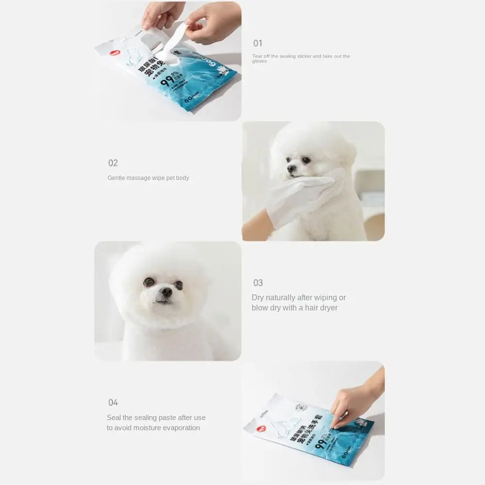 5Pcs/Bag Disposable Pet Cleaning Gloves