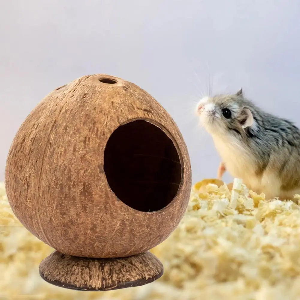 Hamster House Bite-resistant Natural Small Pet