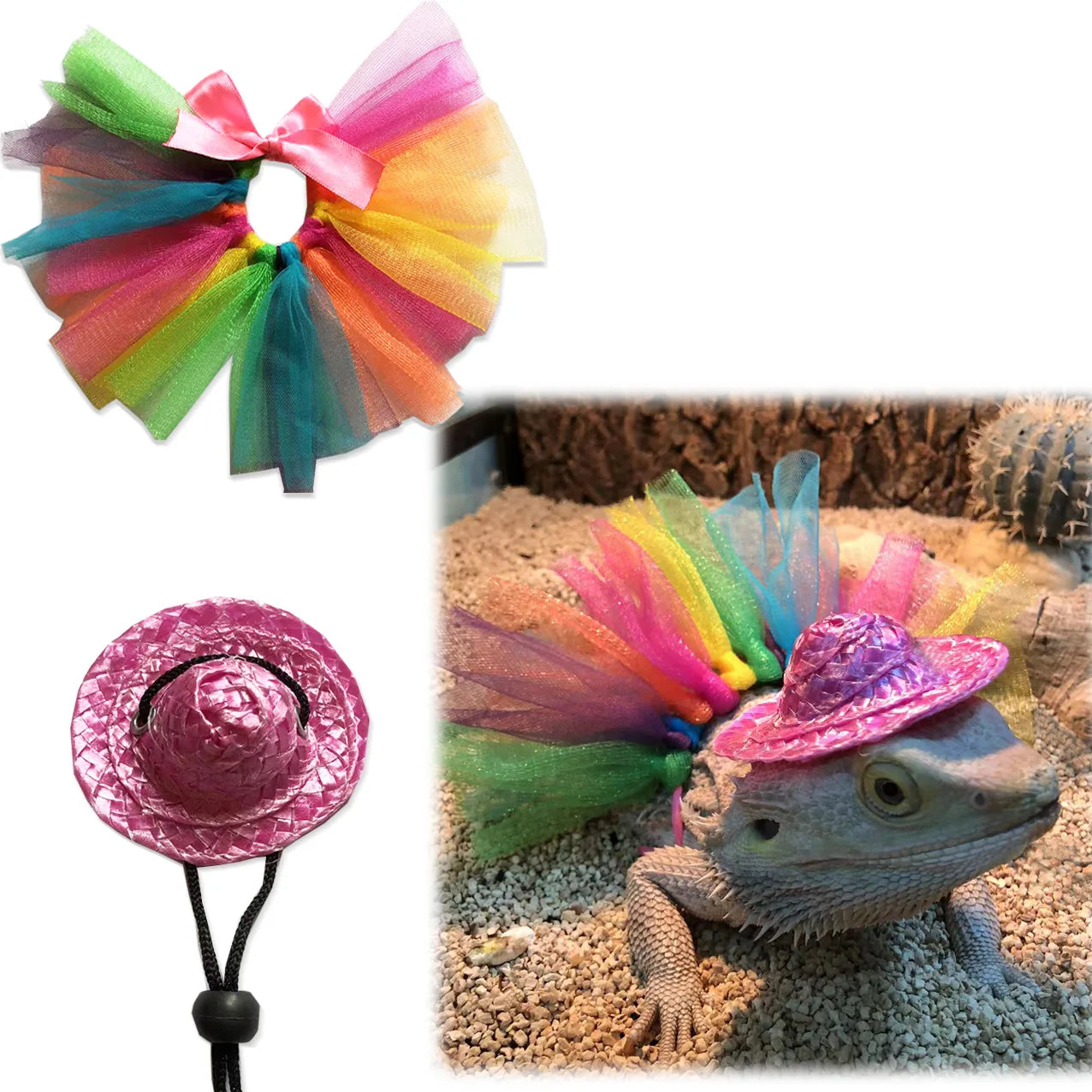 Lizard Crawling Pet Transformational Attire Hat Skirt