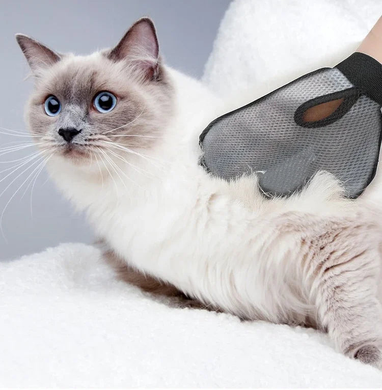 Cat Hair Glove