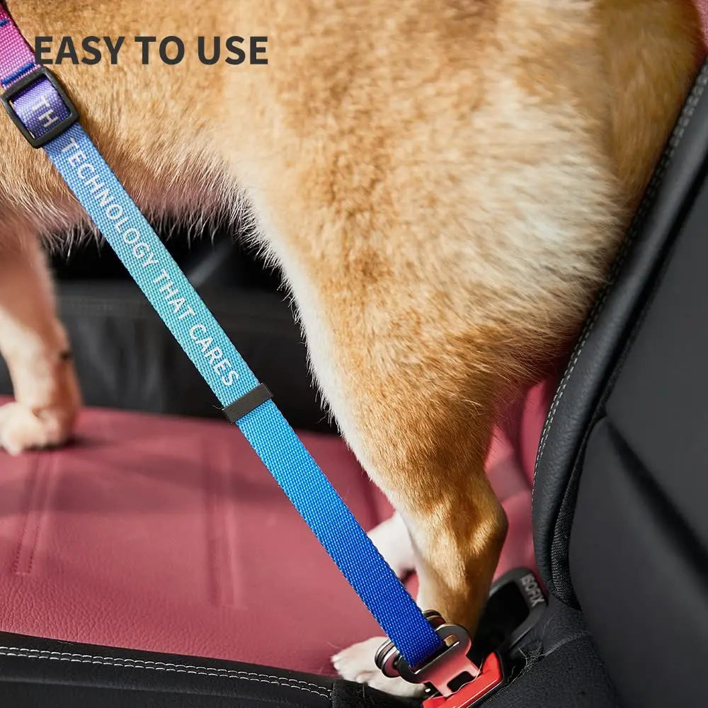 PETKIT Fit 3 Smart Pet Collars Tag Bluetooth