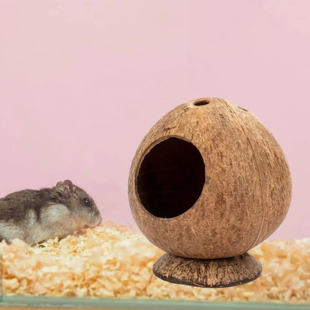 Hamster House Bite-resistant Natural Small Pet