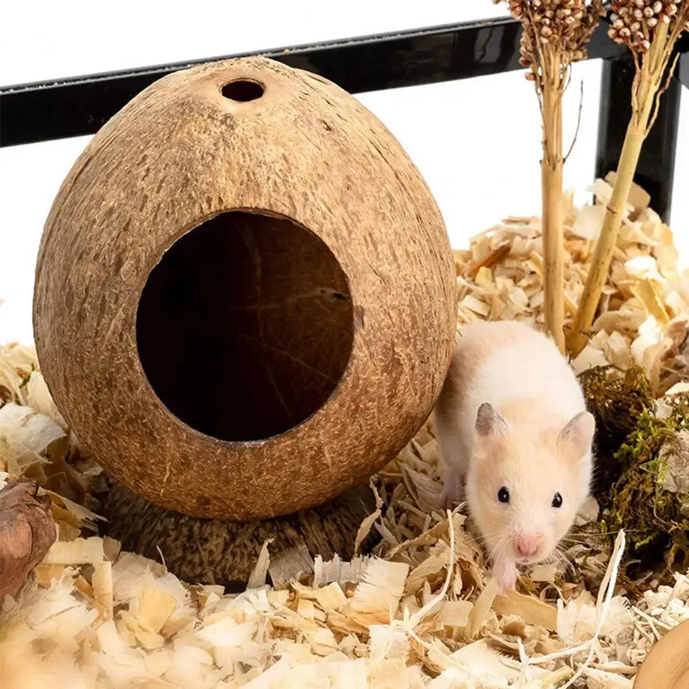 Hamster House Bite-resistant Natural Small Pet