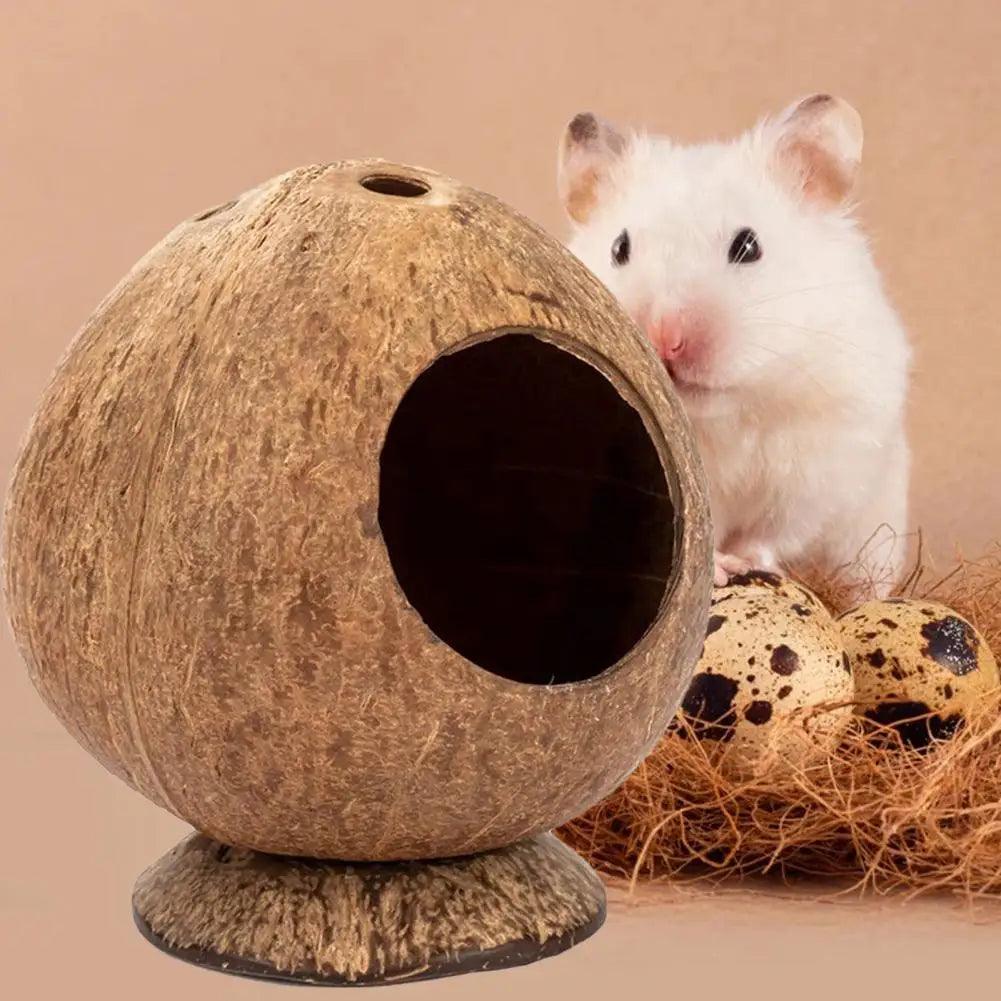 Hamster House Bite-resistant Natural Small Pet