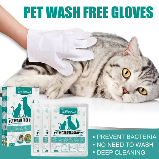 6pcs Pet Disposable Cleaning Gloves